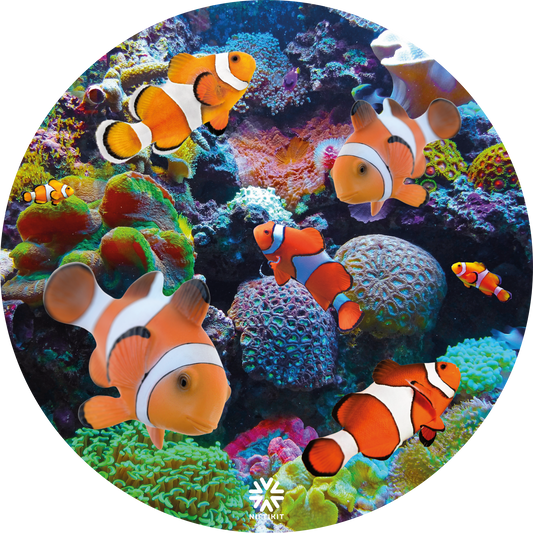 Mag wheel / electric wheelchair wheel cover with clownfish and coral design on a white background