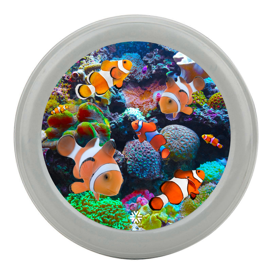Mag wheel / electric wheelchair wheel showing a cover with clownfish and coral design on a white background