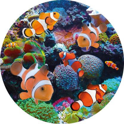 Mag wheel / electric wheelchair wheel cover with clownfish and coral design on a white background